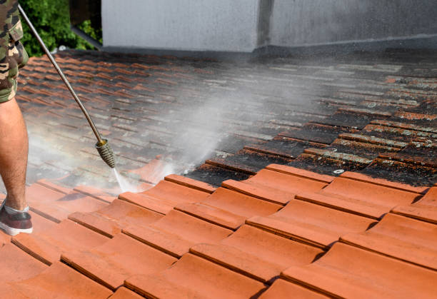 Best Roof Pressure Washing  in Sunland Park, NM