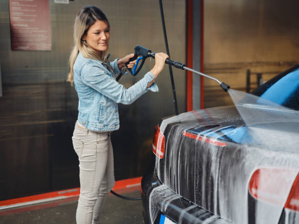 Best House Pressure Washing  in Sunland Park, NM