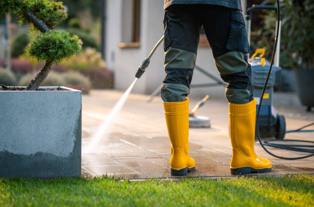  Sunland Park, NM Pressure Washing Pros